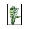 Picture of Snake Leaves _GroupedProduct_Rectangle_Portrait_Framed_Matted_