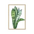 Picture of Snake Leaves _GroupedProduct_Rectangle_Portrait_Framed_Matted_