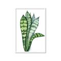 Picture of Snake Leaves _GroupedProduct_Rectangle_Portrait_Framed_Matted_