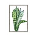 Picture of Snake Leaves _GroupedProduct_Rectangle_Portrait_Framed_Matted_