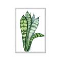 Picture of Snake Leaves _GroupedProduct_Rectangle_Portrait_Framed_Matted_