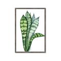 Picture of Snake Leaves _GroupedProduct_Rectangle_Portrait_Framed_Matted_