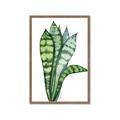 Picture of Snake Leaves _GroupedProduct_Rectangle_Portrait_Framed_Matted_