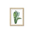 Picture of Snake Leaves _GroupedProduct_Rectangle_Portrait_Framed_Matted_