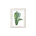 Picture of Snake Leaves _GroupedProduct_Rectangle_Portrait_Framed_Matted_