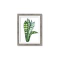 Picture of Snake Leaves _GroupedProduct_Rectangle_Portrait_Framed_Matted_