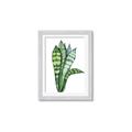 Picture of Snake Leaves _GroupedProduct_Rectangle_Portrait_Framed_Matted_