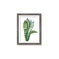 Picture of Snake Leaves _GroupedProduct_Rectangle_Portrait_Framed_Matted_