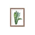 Picture of Snake Leaves _GroupedProduct_Rectangle_Portrait_Framed_Matted_