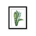 Picture of Snake Leaves _GroupedProduct_Rectangle_Portrait_Framed_Matted_