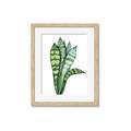 Picture of Snake Leaves _GroupedProduct_Rectangle_Portrait_Framed_Matted_