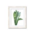 Picture of Snake Leaves _GroupedProduct_Rectangle_Portrait_Framed_Matted_