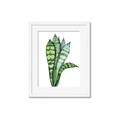 Picture of Snake Leaves _GroupedProduct_Rectangle_Portrait_Framed_Matted_