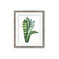 Picture of Snake Leaves _GroupedProduct_Rectangle_Portrait_Framed_Matted_