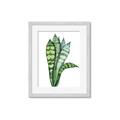 Picture of Snake Leaves _GroupedProduct_Rectangle_Portrait_Framed_Matted_