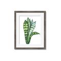 Picture of Snake Leaves _GroupedProduct_Rectangle_Portrait_Framed_Matted_