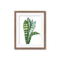 Picture of Snake Leaves _GroupedProduct_Rectangle_Portrait_Framed_Matted_