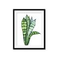 Picture of Snake Leaves _GroupedProduct_Rectangle_Portrait_Framed_Matted_