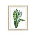 Picture of Snake Leaves _GroupedProduct_Rectangle_Portrait_Framed_Matted_