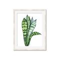 Picture of Snake Leaves _GroupedProduct_Rectangle_Portrait_Framed_Matted_