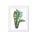 Picture of Snake Leaves _GroupedProduct_Rectangle_Portrait_Framed_Matted_