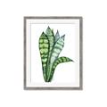 Picture of Snake Leaves _GroupedProduct_Rectangle_Portrait_Framed_Matted_