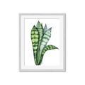 Picture of Snake Leaves _GroupedProduct_Rectangle_Portrait_Framed_Matted_