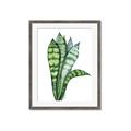 Picture of Snake Leaves _GroupedProduct_Rectangle_Portrait_Framed_Matted_