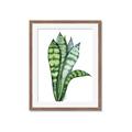 Picture of Snake Leaves _GroupedProduct_Rectangle_Portrait_Framed_Matted_
