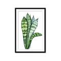 Picture of Snake Leaves _GroupedProduct_Rectangle_Portrait_Framed_Matted_