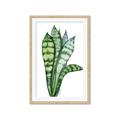 Picture of Snake Leaves _GroupedProduct_Rectangle_Portrait_Framed_Matted_