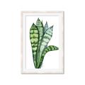 Picture of Snake Leaves _GroupedProduct_Rectangle_Portrait_Framed_Matted_