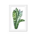 Picture of Snake Leaves _GroupedProduct_Rectangle_Portrait_Framed_Matted_
