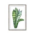 Picture of Snake Leaves _GroupedProduct_Rectangle_Portrait_Framed_Matted_