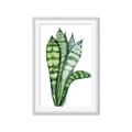 Picture of Snake Leaves _GroupedProduct_Rectangle_Portrait_Framed_Matted_