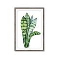 Picture of Snake Leaves _GroupedProduct_Rectangle_Portrait_Framed_Matted_