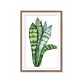 Picture of Snake Leaves _GroupedProduct_Rectangle_Portrait_Framed_Matted_