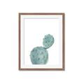 Picture of Bunny Cactus _GroupedProduct_Rectangle_Portrait_Framed_Matted_