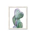 Picture of Prickly Pear Cactus  _GroupedProduct_Rectangle_Portrait_Framed_Matted_