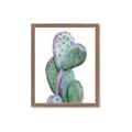 Picture of Prickly Pear Cactus  _GroupedProduct_Rectangle_Portrait_Framed_Matted_