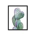 Picture of Prickly Pear Cactus  _GroupedProduct_Rectangle_Portrait_Framed_Matted_