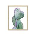 Picture of Prickly Pear Cactus  _GroupedProduct_Rectangle_Portrait_Framed_Matted_