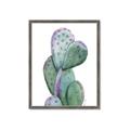 Picture of Prickly Pear Cactus  _GroupedProduct_Rectangle_Portrait_Framed_Matted_