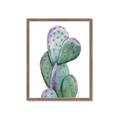 Picture of Prickly Pear Cactus  _GroupedProduct_Rectangle_Portrait_Framed_Matted_