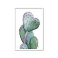 Picture of Prickly Pear Cactus  _GroupedProduct_Rectangle_Portrait_Framed_Matted_