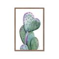 Picture of Prickly Pear Cactus  _GroupedProduct_Rectangle_Portrait_Framed_Matted_