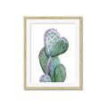 Picture of Prickly Pear Cactus  _GroupedProduct_Rectangle_Portrait_Framed_Matted_