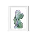 Picture of Prickly Pear Cactus  _GroupedProduct_Rectangle_Portrait_Framed_Matted_