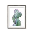 Picture of Prickly Pear Cactus  _GroupedProduct_Rectangle_Portrait_Framed_Matted_