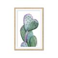 Picture of Prickly Pear Cactus  _GroupedProduct_Rectangle_Portrait_Framed_Matted_